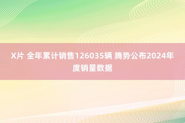 X片 全年累计销售126035辆 腾势公布2024年度销量数据