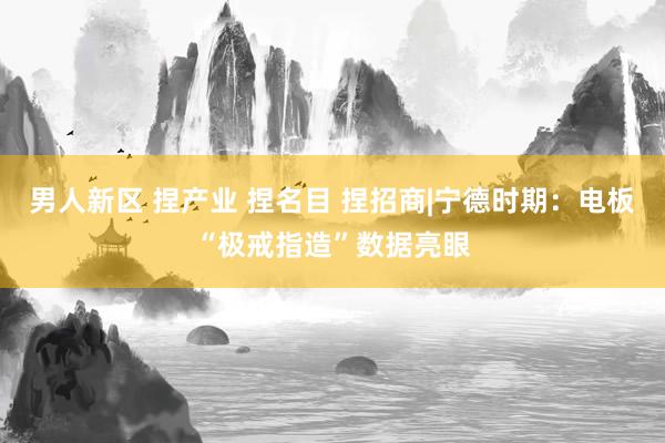 男人新区 捏产业 捏名目 捏招商|宁德时期：电板“极戒指造”数据亮眼