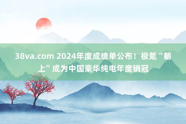 38va.com 2024年度成绩单公布！极氪“朝上”成为中国豪华纯电年度销冠