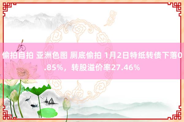 偷拍自拍 亚洲色图 厕底偷拍 1月2日特纸转债下落0.85%，转股溢价率27.46%