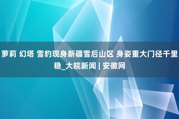 萝莉 幻塔 雪豹现身新疆雪后山区 身姿重大门径千里稳_大皖新闻 | 安徽网