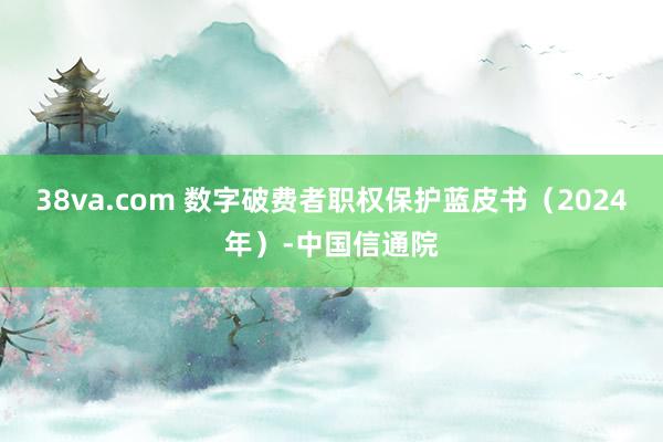 38va.com 数字破费者职权保护蓝皮书（2024年）-中国信通院