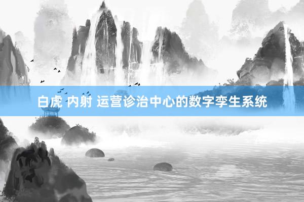 白虎 内射 运营诊治中心的数字孪生系统