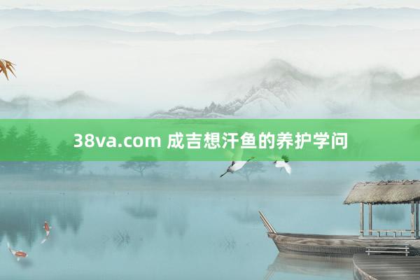 38va.com 成吉想汗鱼的养护学问