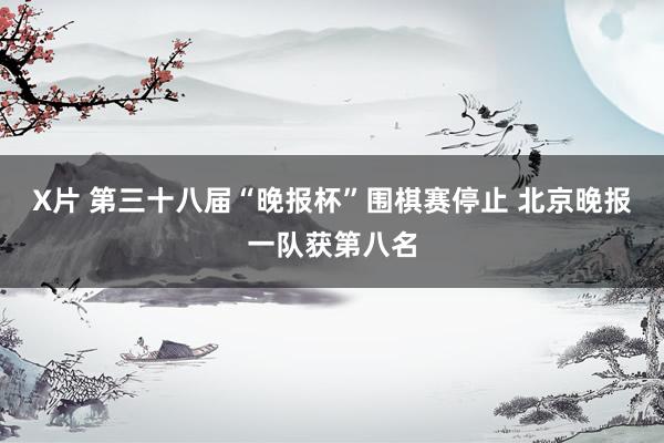 X片 第三十八届“晚报杯”围棋赛停止 北京晚报一队获第八名