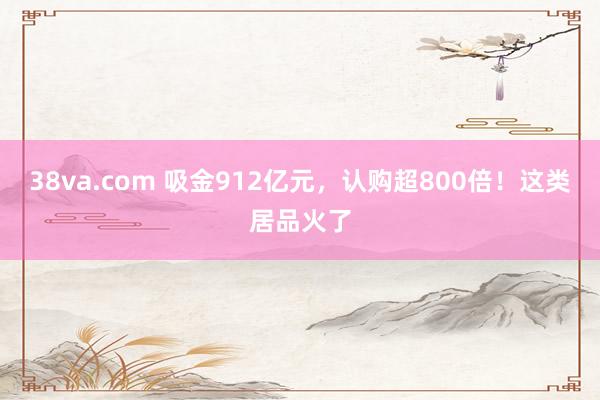 38va.com 吸金912亿元，认购超800倍！这类居品火了