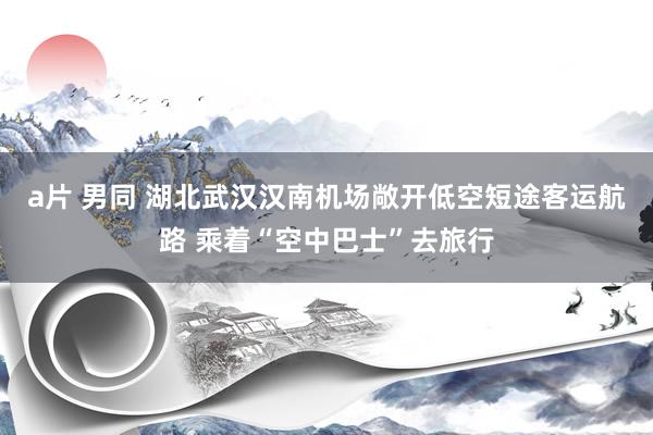 a片 男同 湖北武汉汉南机场敞开低空短途客运航路 乘着“空中巴士”去旅行