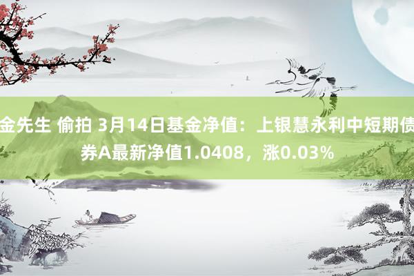 金先生 偷拍 3月14日基金净值：上银慧永利中短期债券A最新净值1.0408，涨0.03%