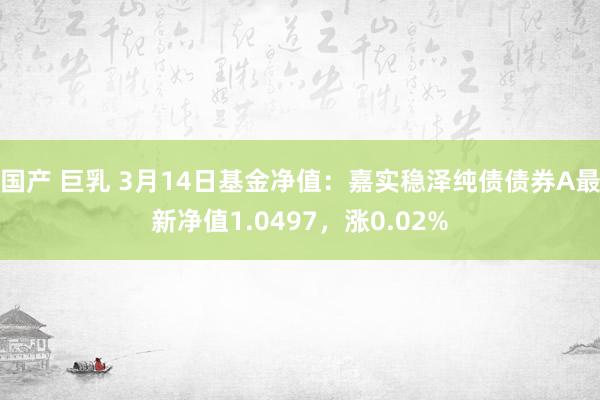 国产 巨乳 3月14日基金净值：嘉实稳泽纯债债券A最新净值1.0497，涨0.02%