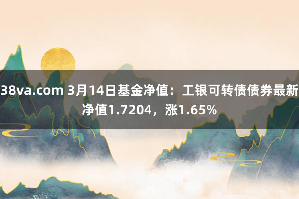 38va.com 3月14日基金净值：工银可转债债券最新净值1.7204，涨1.65%