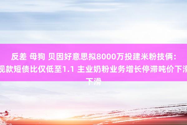 反差 母狗 贝因好意思拟8000万投建米粉技俩：现款短债比仅低至1.1 主业奶粉业务增长停滞吨价下滑