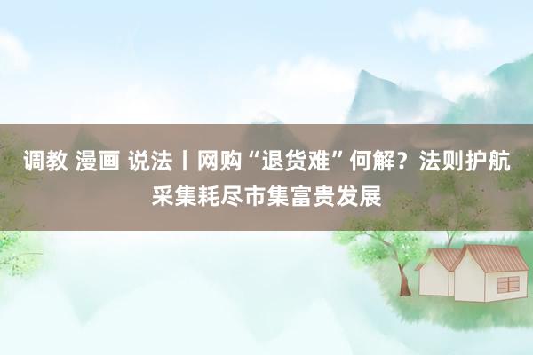调教 漫画 说法丨网购“退货难”何解？法则护航采集耗尽市集富贵发展