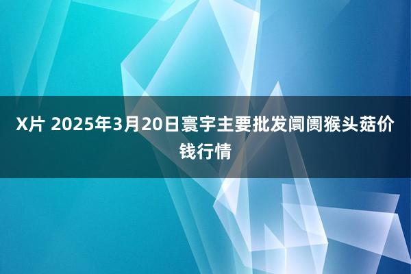 X片 2025年3月20日寰宇主要批发阛阓猴头菇价钱行情