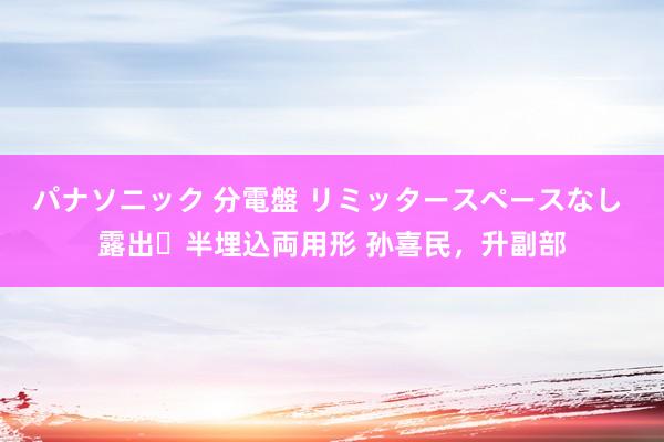 パナソニック 分電盤 リミッタースペースなし 露出・半埋込両用形 孙喜民，升副部