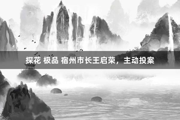 探花 极品 宿州市长王启荣，主动投案