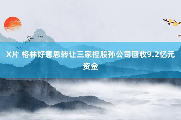 X片 格林好意思转让三家控股孙公司回收9.2亿元资金