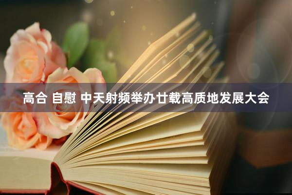 高合 自慰 中天射频举办廿载高质地发展大会