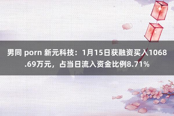男同 porn 新元科技：1月15日获融资买入1068.69万元，占当日流入资金比例8.71%