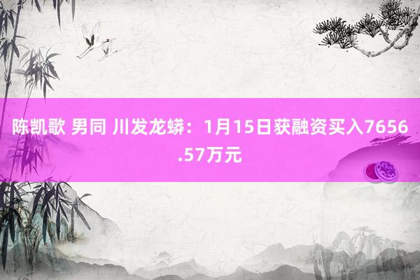 陈凯歌 男同 川发龙蟒：1月15日获融资买入7656.57万元