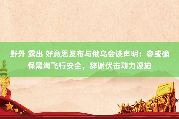 野外 露出 好意思发布与俄乌会谈声明：容或确保黑海飞行安全，辞谢伏击动力设施