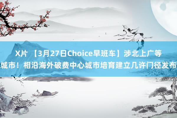 X片 【3月27日Choice早班车】涉北上广等城市！相沿海外破费中心城市培育建立几许门径发布