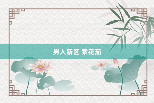 男人新区 紫花茄