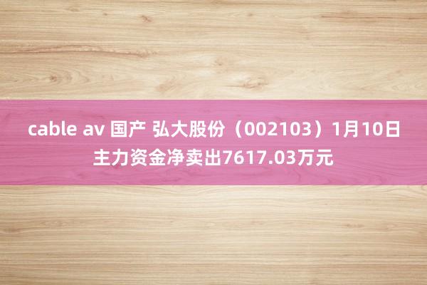cable av 国产 弘大股份（002103）1月10日主力资金净卖出7617.03万元