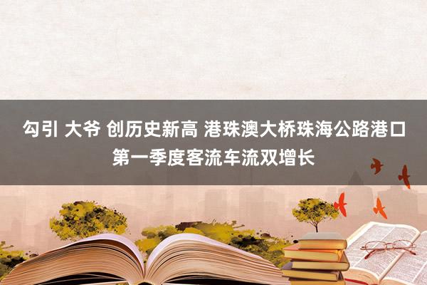 勾引 大爷 创历史新高 港珠澳大桥珠海公路港口第一季度客流车流双增长