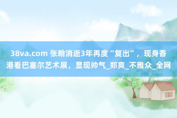 38va.com 张翰消逝3年再度“复出”，现身香港看巴塞尔艺术展，显现帅气_郑爽_不雅众_全网