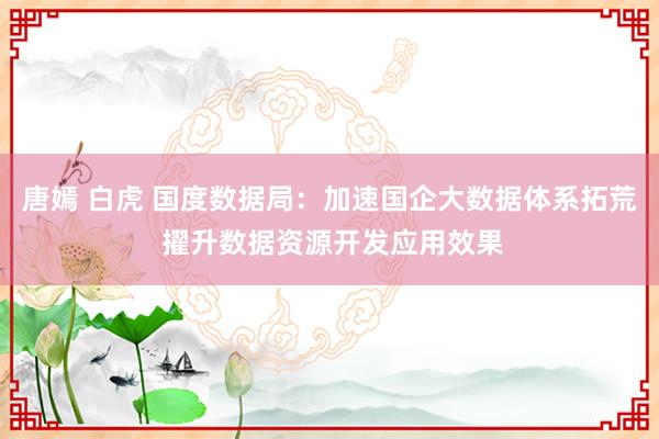 唐嫣 白虎 国度数据局：加速国企大数据体系拓荒 擢升数据资源开发应用效果