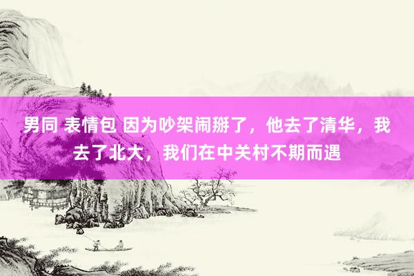 男同 表情包 因为吵架闹掰了，他去了清华，我去了北大，我们在中关村不期而遇