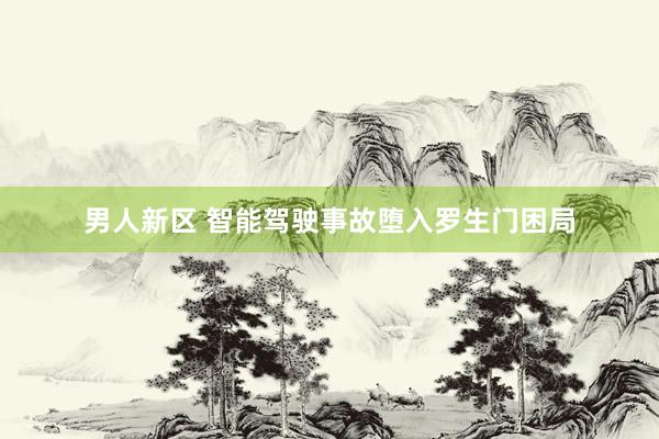 男人新区 智能驾驶事故堕入罗生门困局