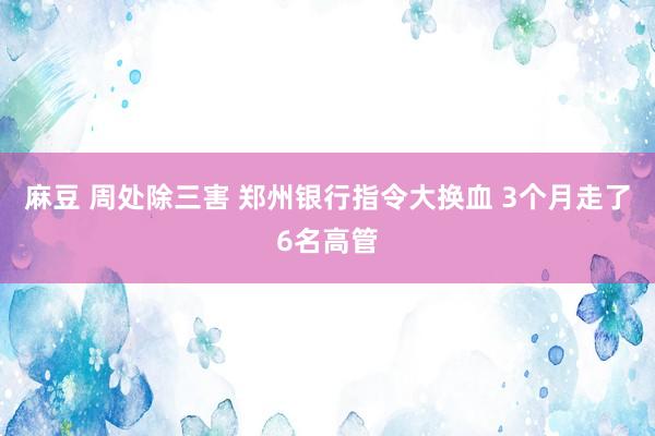 麻豆 周处除三害 郑州银行指令大换血 3个月走了6名高管
