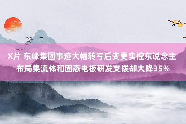 X片 东峰集团事迹大幅转亏后变更实控东说念主 布局集流体和固态电板研发支拨却大降35%
