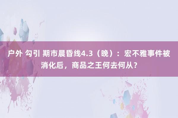 户外 勾引 期市晨昏线4.3（晚）：宏不雅事件被消化后，商品之王何去何从？