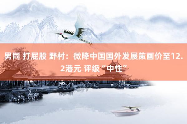 男同 打屁股 野村：微降中国国外发展策画价至12.2港元 评级“中性”