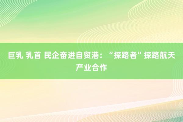 巨乳 乳首 民企奋进自贸港：“探路者”探路航天产业合作