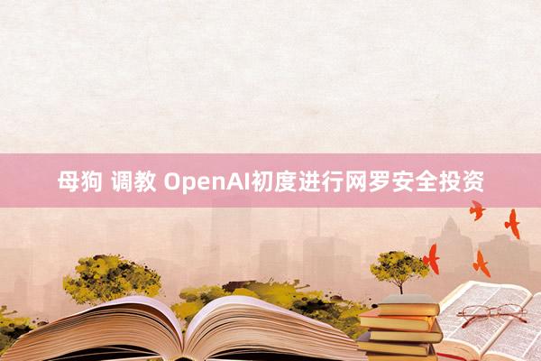 母狗 调教 OpenAI初度进行网罗安全投资