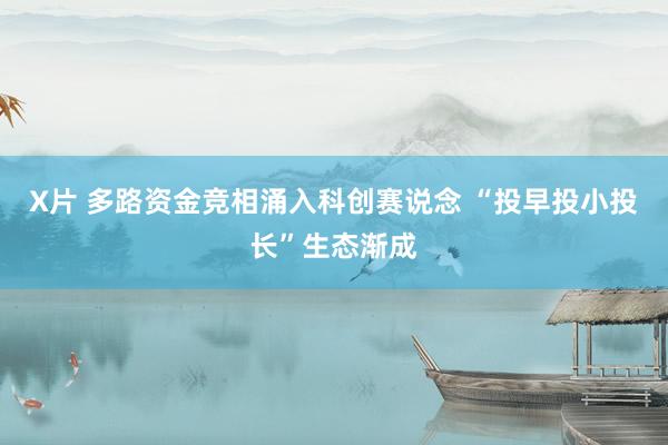 X片 多路资金竞相涌入科创赛说念 “投早投小投长”生态渐成