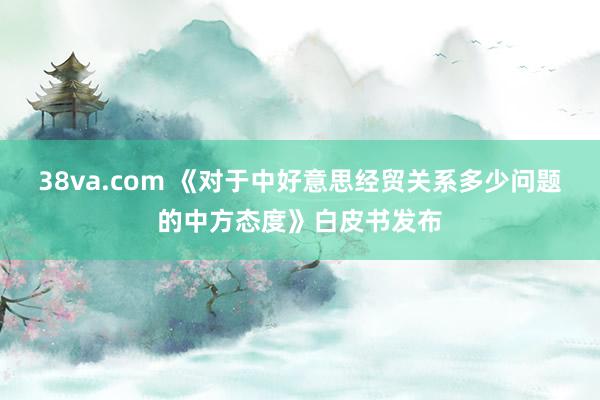 38va.com 《对于中好意思经贸关系多少问题的中方态度》白皮书发布
