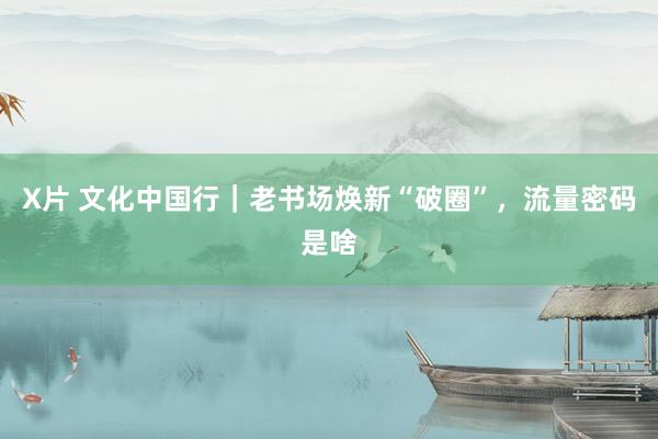 X片 文化中国行｜老书场焕新“破圈”，流量密码是啥