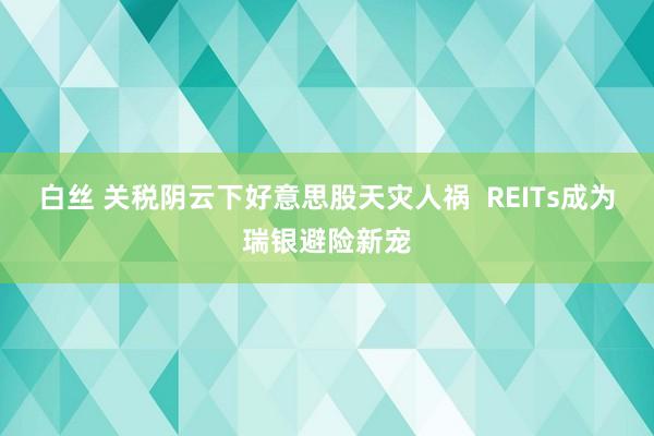 白丝 关税阴云下好意思股天灾人祸  REITs成为瑞银避险新宠
