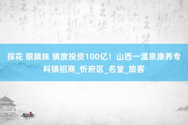 探花 眼睛妹 猜度投资100亿！山西一温泉康养专科镇招商_忻府区_名堂_旅客