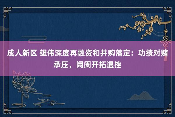 成人新区 雄伟深度再融资和并购落定：功绩对赌承压，阛阓开拓遇挫