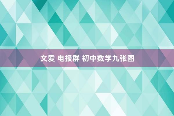文爱 电报群 初中数学九张图
