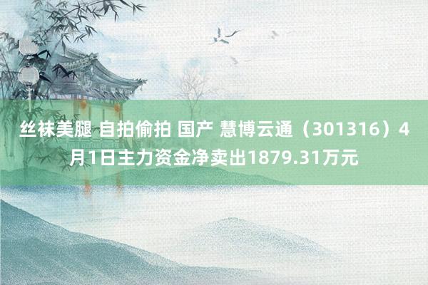 丝袜美腿 自拍偷拍 国产 慧博云通（301316）4月1日主力资金净卖出1879.31万元