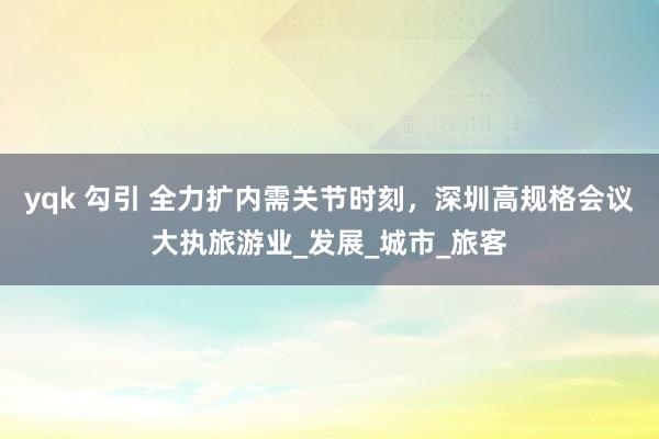 yqk 勾引 全力扩内需关节时刻，深圳高规格会议大执旅游业_发展_城市_旅客