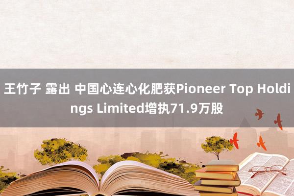 王竹子 露出 中国心连心化肥获Pioneer Top Holdings Limited增执71.9万股