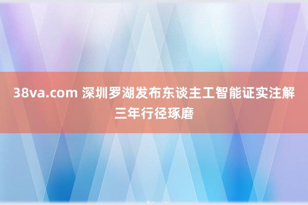 38va.com 深圳罗湖发布东谈主工智能证实注解三年行径琢磨
