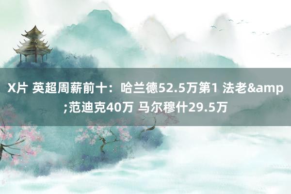 X片 英超周薪前十：哈兰德52.5万第1 法老&范迪克40万 马尔穆什29.5万
